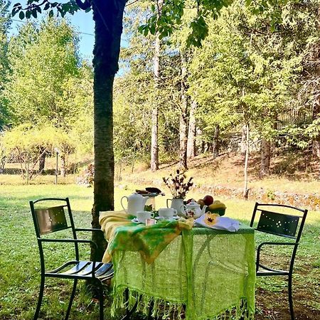 Lh Albergo Il Paradiso Pescasseroli Dış mekan fotoğraf